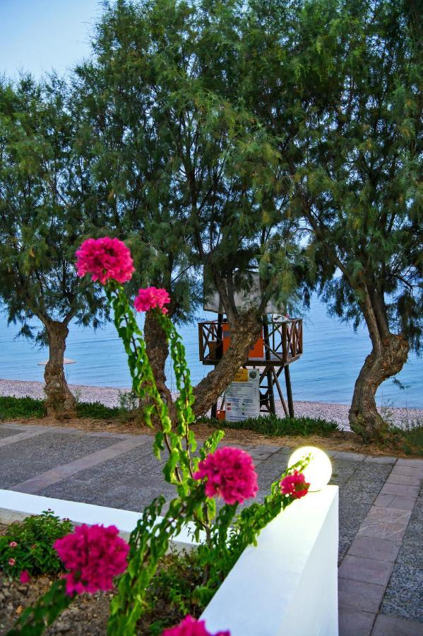 Aliki Studios Paralia Agias Foteinis Exteriör bild