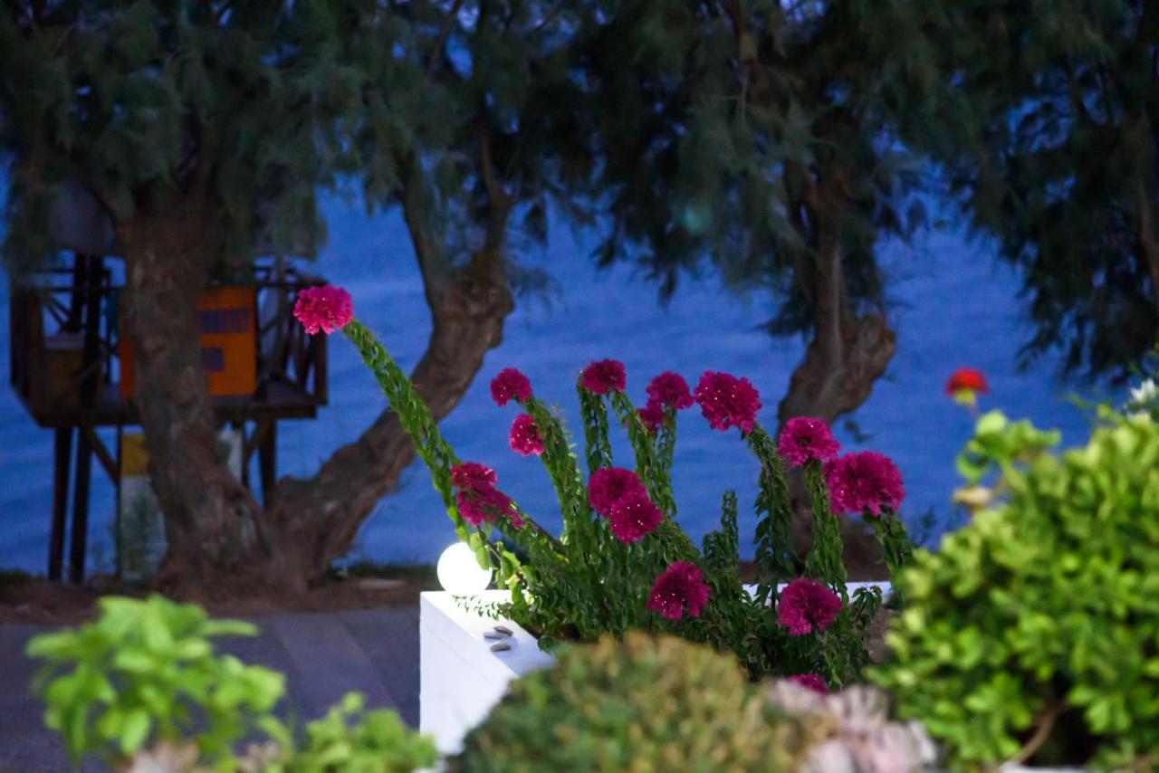 Aliki Studios Paralia Agias Foteinis Exteriör bild
