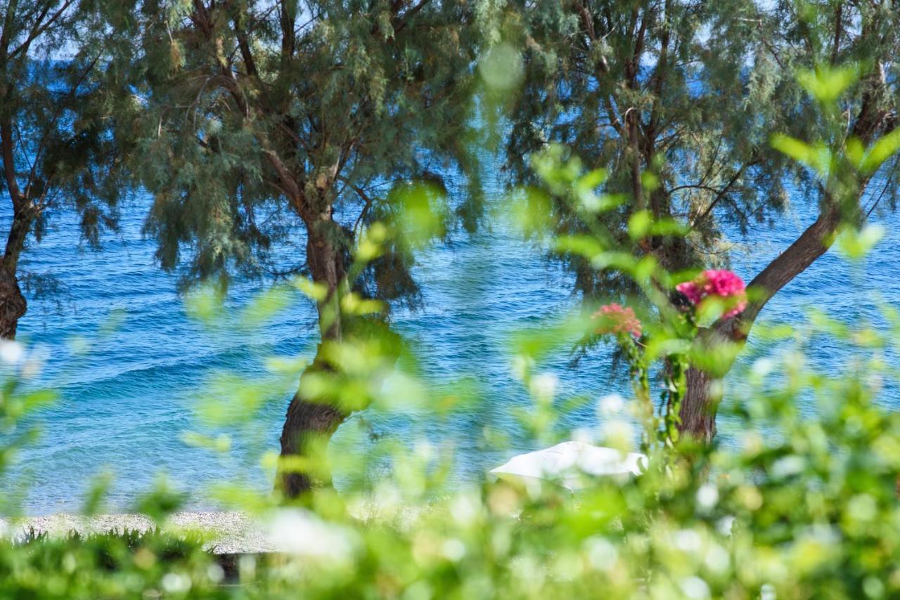 Aliki Studios Paralia Agias Foteinis Exteriör bild